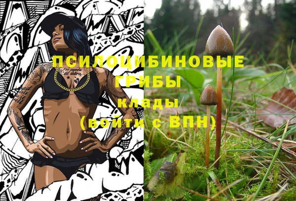 MESCALINE Магас