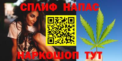 МДПВ Бийск