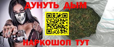 МДПВ Бийск