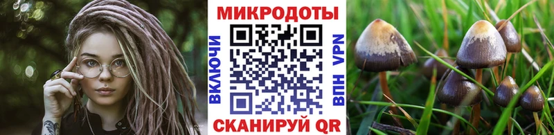 Псилоцибиновые грибы мухоморы  Дубна 