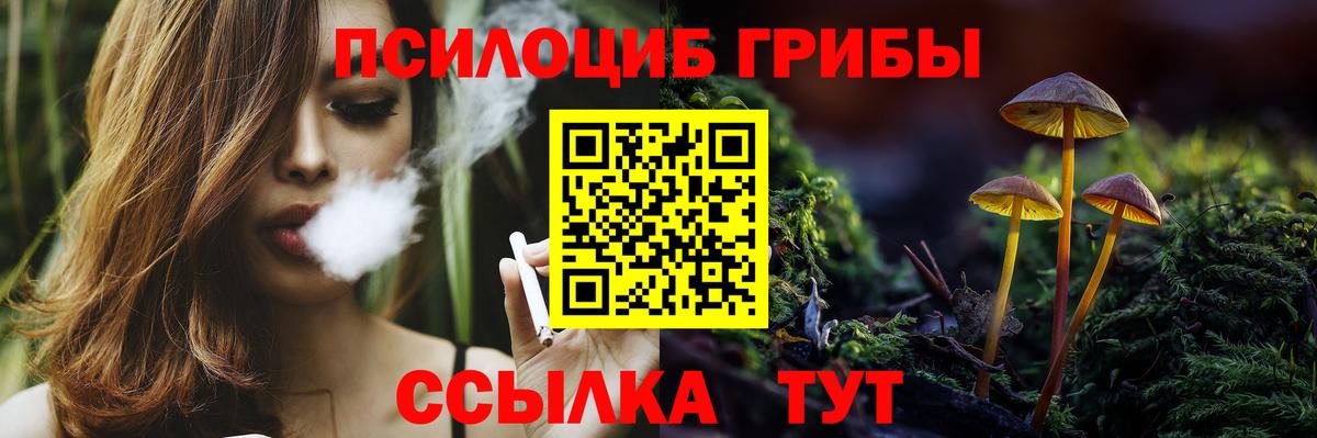 Псилоцибиновые грибы Psilocybine cubensis  Галлюциногенные грибы мицелий  Дубна 